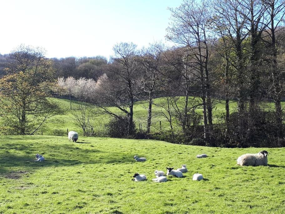 Folly View - Private, Peaceful Apartment With Stunning Views. Pateley Bridge Εξωτερικό φωτογραφία